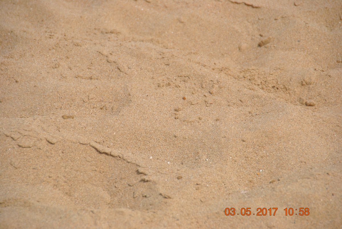 imagini hotel JACARANDA IMPERIAL SIDE